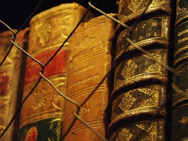 Светлана Хренова