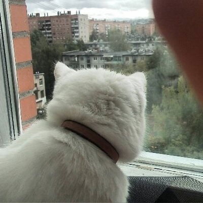 Таисия Титова