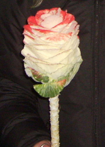 Ольга Чалдаева