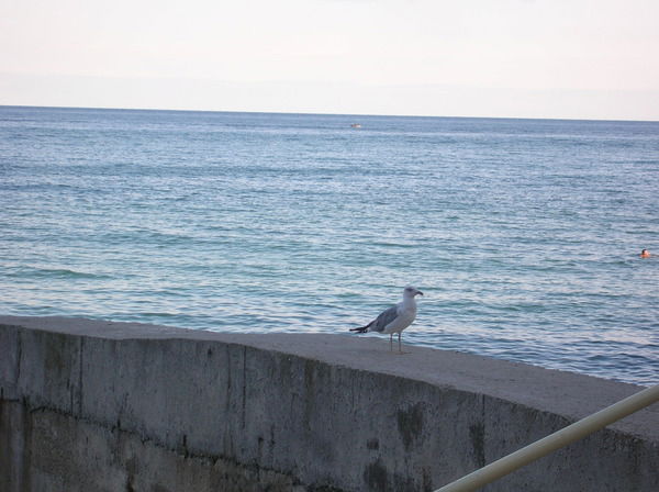 Татьяна Дроздова