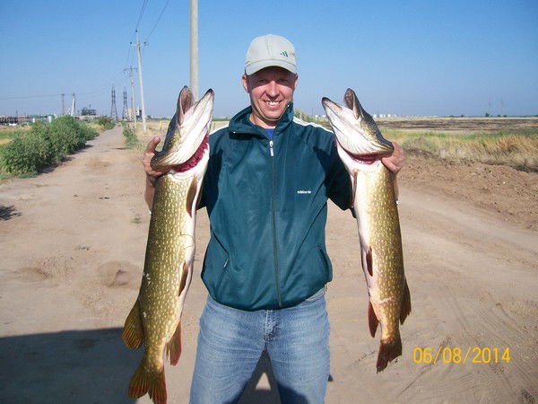 Александр Сулименко