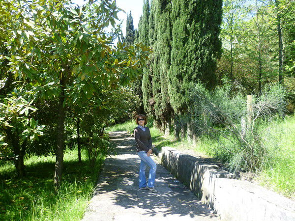 Анна Серебрянская