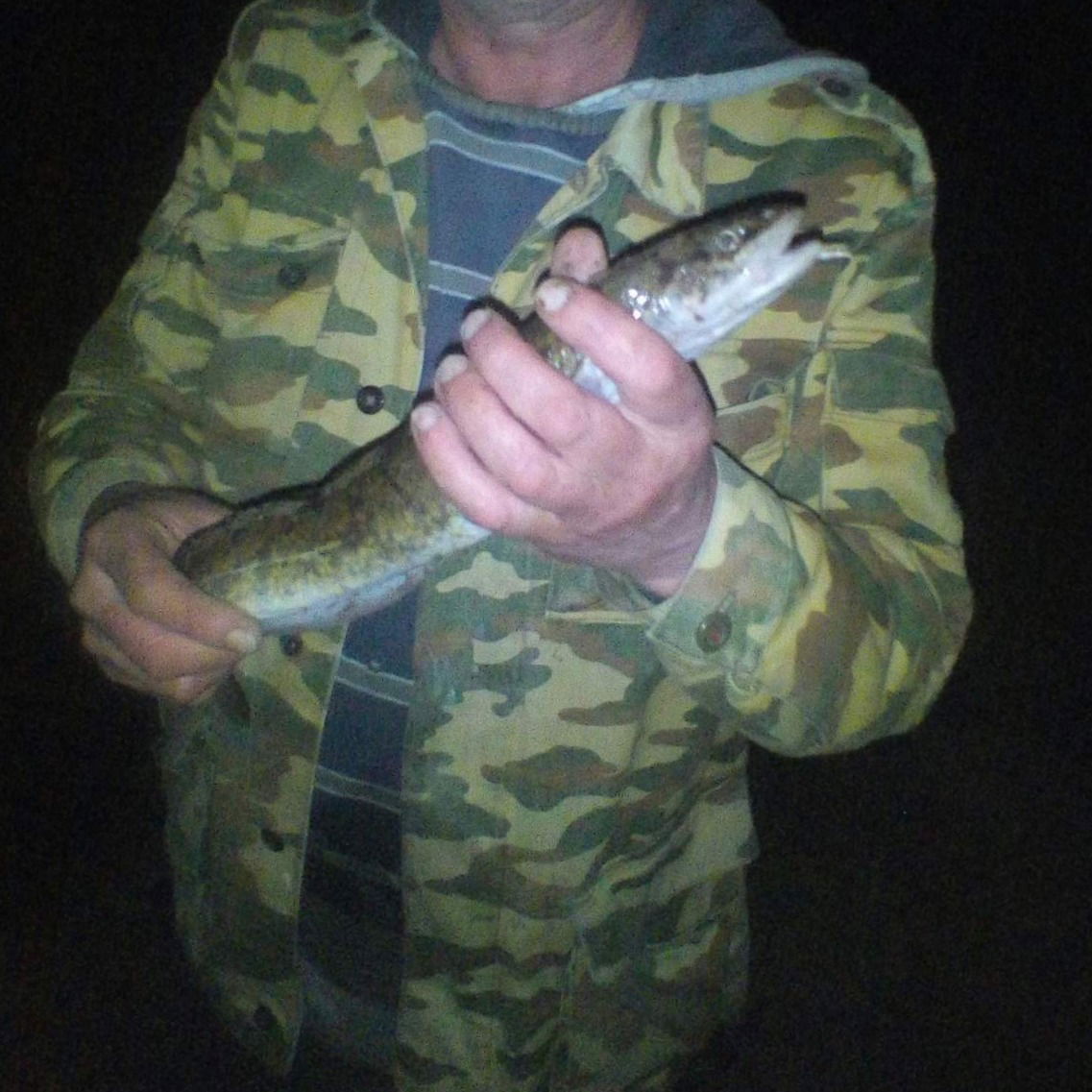 Александр Скрипкин