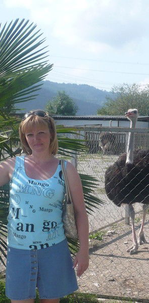 Елена Куликова