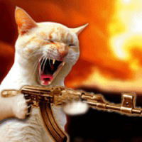 Вячеслав Славин