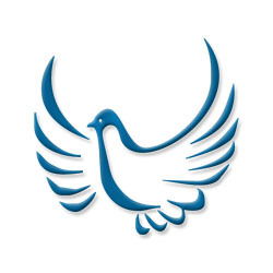 Руслан Назипов