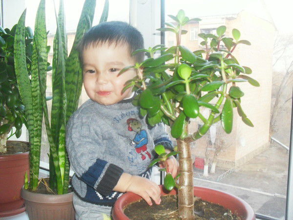 Руслан Казакбаев