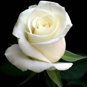 Ольга Григорьева