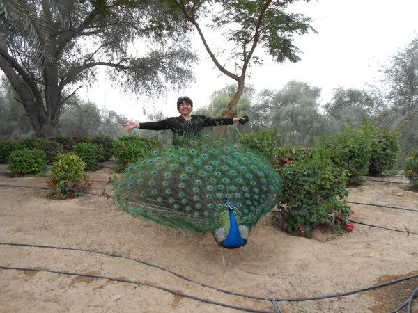 Салтанат Умбеталиева