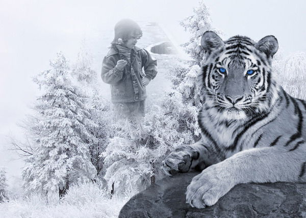 Софа Купцова