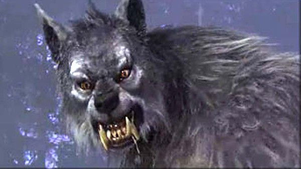 Светлана Попова