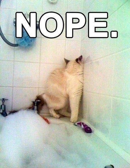 Мир Людовик