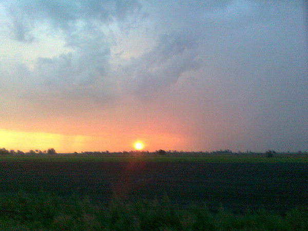 Николай Белоус