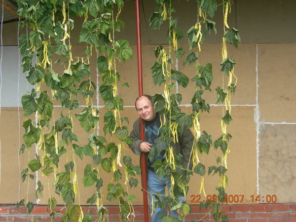 Владимир Баранов