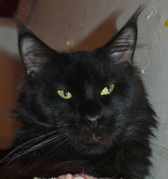 Садкова Ольга