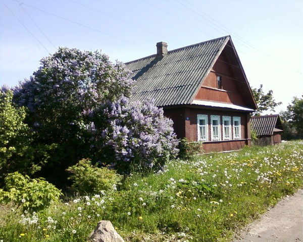 Петр Меркурьев