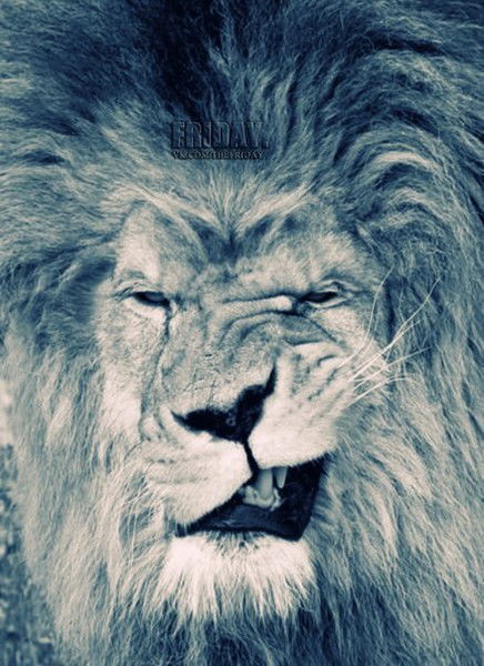 Михаил Усольцев