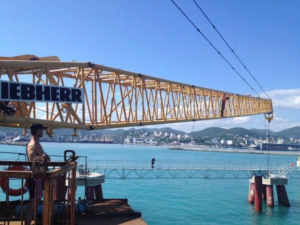 Ксения Новикова