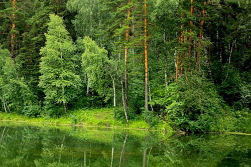 Людмила Горяинова