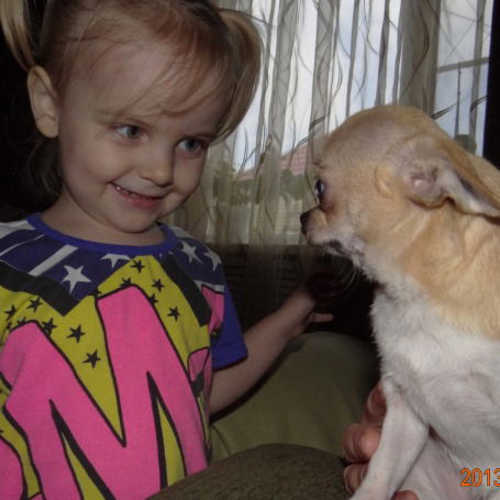 Мила Дмитриева