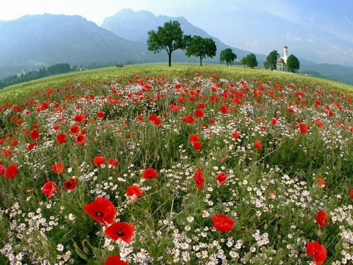 Вилена Адайбекова