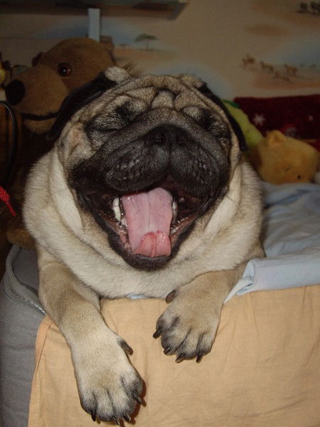 Илья Алексеев