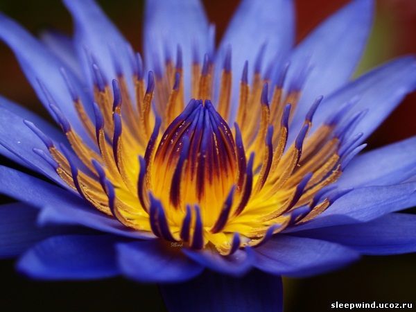 Филиал № 91 Ргп Енбек Караганда