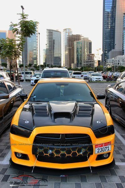 Илья Долженков