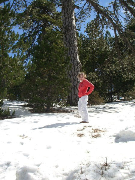 Елена Коновалова