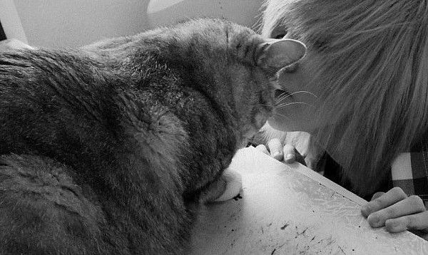 †даша† †фрайман†