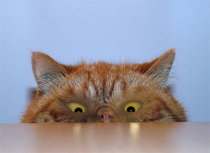 Юрий Панченко