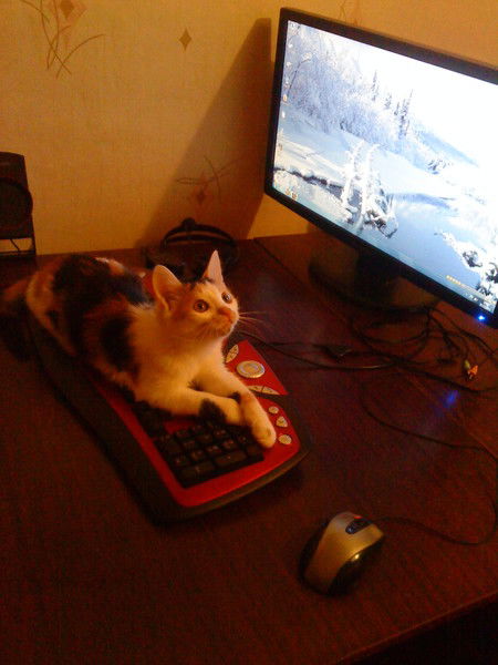 Витёк Килеев