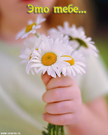 Любовь Василюк