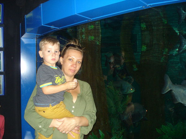 Светлана Агарычева