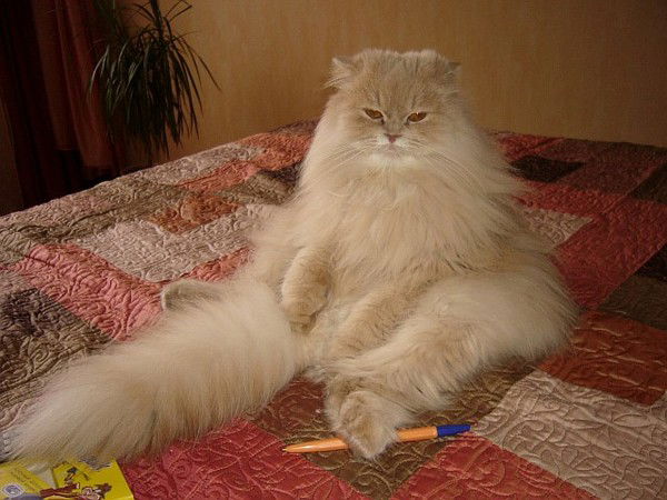 Горячева Марина