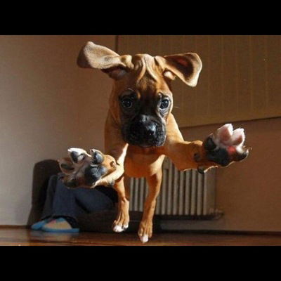 Ярослав Антонов