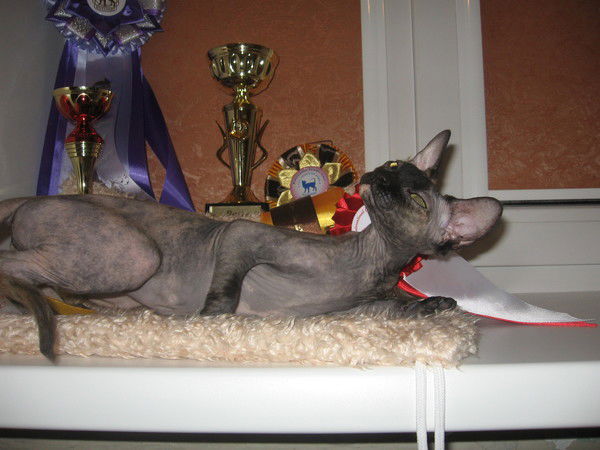 Тамара Tomanikas