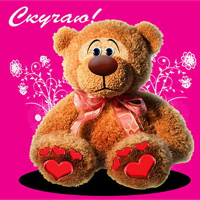 Светлана Хижинская