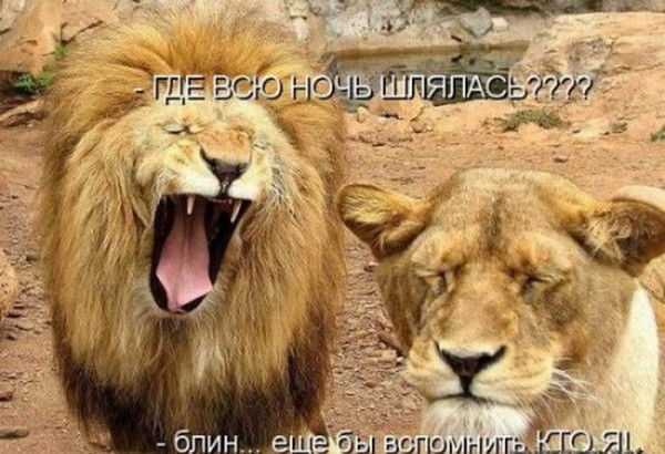 Александр Латкин