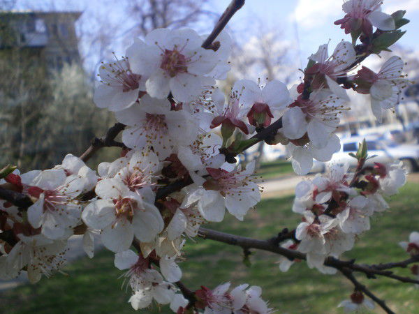 Сергей Монахов