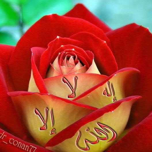 Алия Эргешова