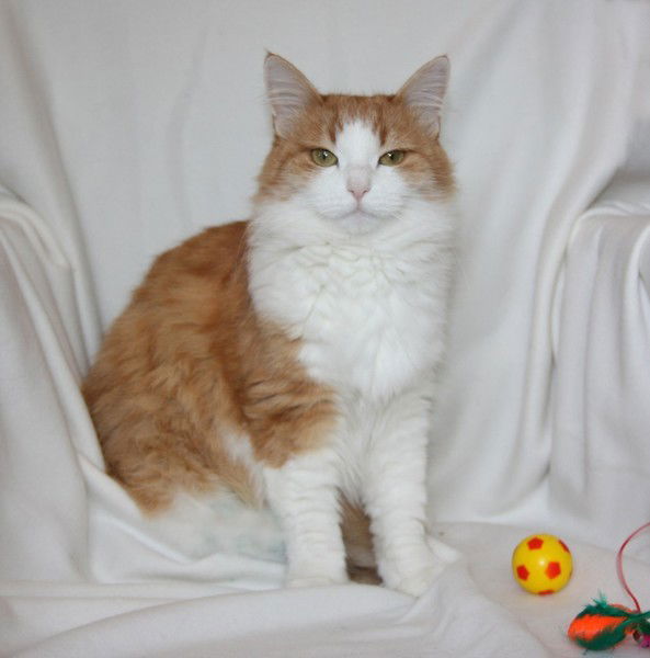 Айзиля Миннегалиева