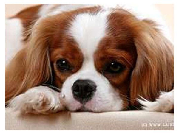 Яночка Белоусова