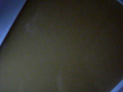 Никита Плаксин