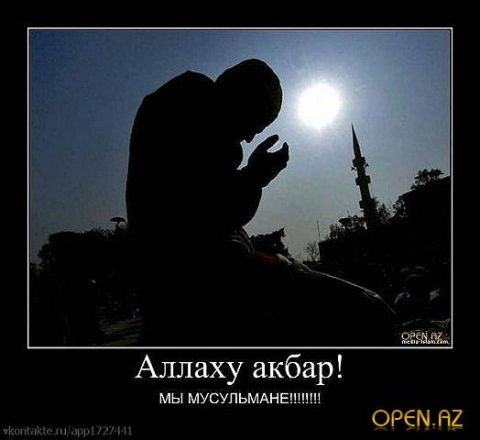 ____________ ____________