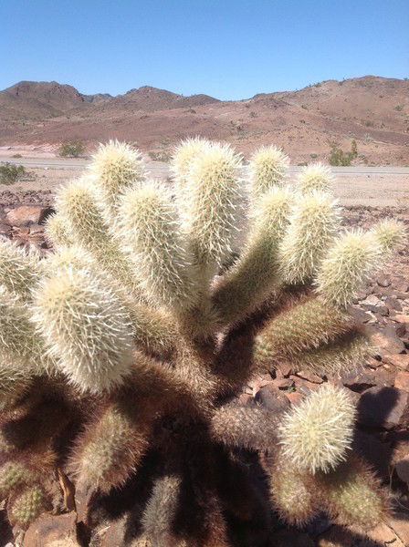 Сергей Вашуркин