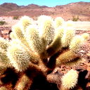 Сергей Вашуркин