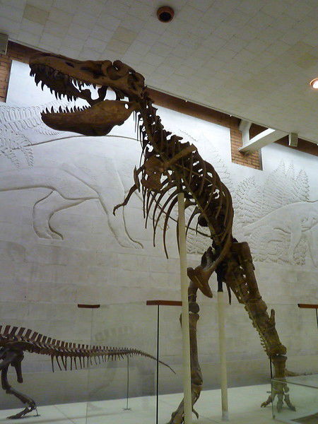 Олег Кочергин