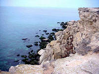 Айзада Батырханова