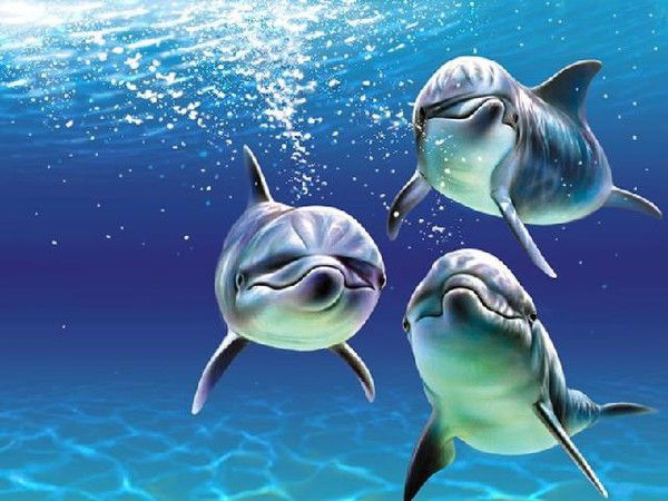 Турсынай Сыздыкова